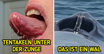 18 Menschen, die die wenig bekannte Seite der gewöhnlichen Dinge festgehalten haben