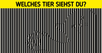 10 visuelle Rätsel, die deinem Verstand Streiche spielen