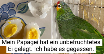 15 Menschen, die das Glück hatten, auch einmal die verborgene Seite der Dinge zu sehen