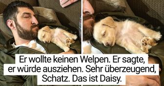 20 Fotos, die zeigen, dass man die Liebe auf die unerwartetste Weise finden kann