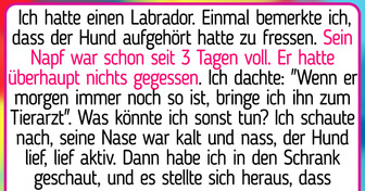 14 Geschichten, die beweisen, dass Hunde ein wahres Geschenk an die Menschheit sind