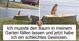 20 Menschen, deren Tag langweilig war, bis etwas Unerwartetes passiert ist