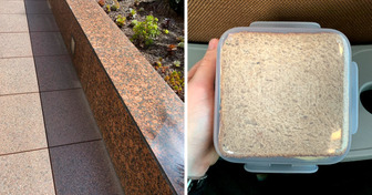 24 Fotos von Dingen, die so gut zusammenpassen, als wären sie auf den Millimeter genau per Laser aufeinander zugeschnitten