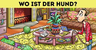 Test: Finde heraus, ob du ein echter Beobachter bist und alle verlorenen Objekte entdecken kannst