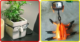 20 Kreative, die ihr Studium wahrscheinlich mit Auszeichnung abgeschlossen haben