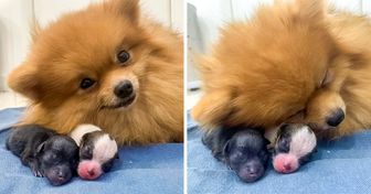 24 Fotos, die zeigen, was es bedeutet, Mama zu sein