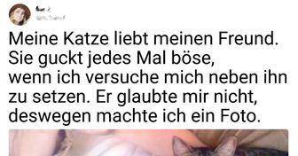 20 Flauschige Gesichter, denen Manieren egal sind