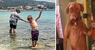 14 erstaunliche Bilder, bei denen ein Blick wirklich nicht genügt