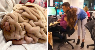 19 Bilder, die deine Sinne herausfordern