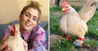 Dieses Huhn trägt Schuhe, um zu laufen, und warum das das Internet in Aufruhr versetzt hat