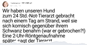 14 Personen, deren Geschichten den Preis “Beste Pointe aller Zeiten” gewinnen könnten