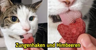 15 außergewöhnliche Bilder, bei denen dir die Kinnlade herunterklappen wird