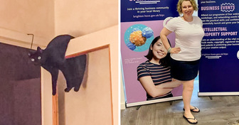 20 Mal haben skurrile Details eine neue Dimension der Dinge eröffnet