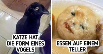 15 verwirrende Fotos, bei denen du zweimal hinsehen musst