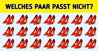 Finde die 12 Objekte, die sich vom Rest unterscheiden und teste, wie schnell du bist