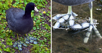 8 Male, wo wir genauer hinschauen mussten, um die Geheimnisse der Natur zu sehen