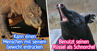 15 Tiere, die immer noch existieren und aussehen, als wären sie aus “Jurassic Park”