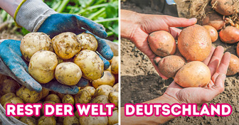 7 Fakten über das Leben der Deutschen, die den Rest der Welt sagen lassen: “Das brauchen wir auch!”