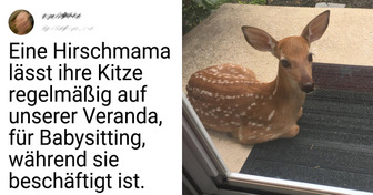 15 charmante Tiere, die unser Leben spontan verschönern