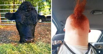 16 coole Fotos, die beweisen, dass es immer auf den richtigen Winkel ankommt