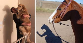 15+ Male, in denen ein seltsamer Winkel uns mehr sehen ließ, als es tatsächlich gab