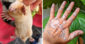 20 Mal, als die Natur einen gewöhnlichen Tag mit ungewöhnlichen Dingen aufgepeppt hat