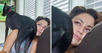 25+ Haustiere, die nichts von persönlichem Freiraum halten