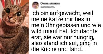 13 Haustiere, die alle möglichen Preise für ihren Mut und ihre Intelligenz verdienen!