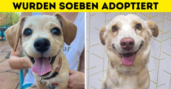 21 Tiere, die uns ihr “Ich habe eine neue Familie”-Gesicht zeigen