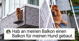 13 Fotos, die beweisen, dass die Kreativität des Menschen grenzenlos ist