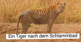 10+ Fotos, die beweisen, dass uns manchmal sogar ganz gewöhnliche Dinge verblüffen können