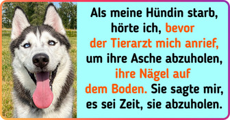 17 Haustiere, die nach ihrem Ableben einen unerwarteten Besuch bei ihren Menschen machten