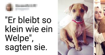 15+ Menschen, die ein Haustier wollten, aber die Katze im Sack gekauft haben