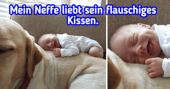 15 Fotos, die an einem trüben Tag ein Lichtblick sein können