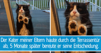 18 Male, in denen Tiere zeigten, dass sie uns mehr brauchen, als wir denken