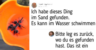 17 Fälle, in denen Menschen unerwartet Zeuge eines kleinen Wunders wurden