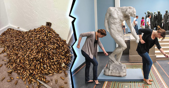 20 lustige Momente, die man nur schwer übersehen kann