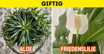 10 Pflanzen, von denen wir uns besser fernhalten sollten