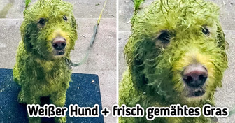 15 Fotos, die dir ein Lächeln ins Gesicht zaubern