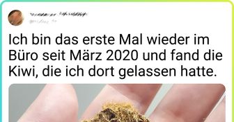 21 unerwartete Funde, die den Finder zu einem tollen Entdecker machen