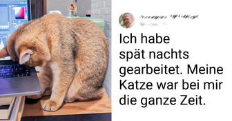 20 Haustiere, deren stille Unterstützung mehr sagt als 1.000 Worte