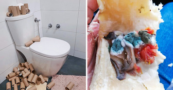 16 Menschen, die ihre Wut kaum zurückhalten konnten