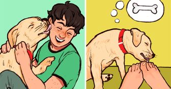 Warum Hunde dein Gesicht oder deine Füße ablecken (und 11 andere Verhaltensweisen)