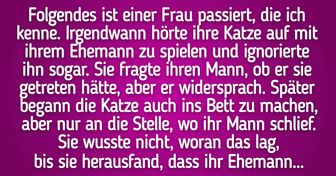 15 Geschichten, die beweisen, wie clever Haustiere sind