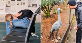 17 Fotos, die uns einen Streich gespielt haben und wir sind direkt darauf hineingefallen