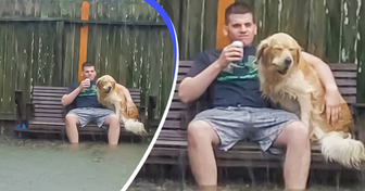 17 Momente, die es wert sind, in Memoiren festgehalten zu werden