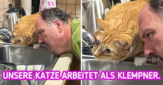 21 Gründe, warum wir uns ziemlich sicher sind, dass Katzen eigentlich von einem anderen Planeten stammen