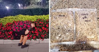 20 Perfekt gelungene Bilder