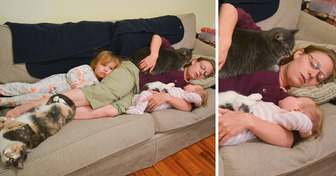 15+ Fotos, die unbestreitbar belegen, dass Liebe die stärkste Kraft ist, die uns zusammenhält