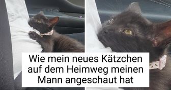 15 Tiere, deren bedingungslose Liebe uns den Atem raubt